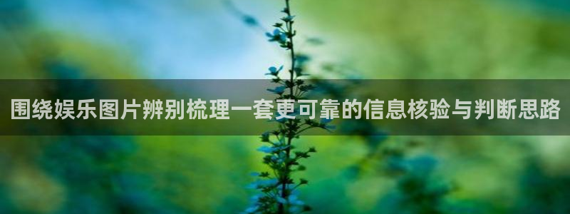明星黑料真伪核验