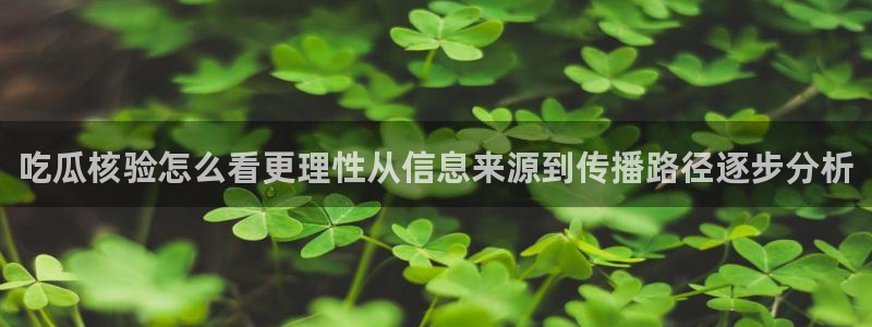 独家黑料后续进展