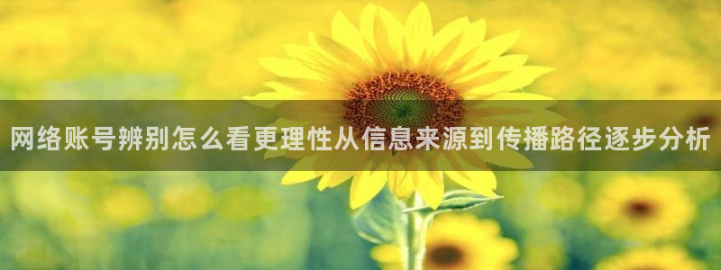 黑料事件事件始末