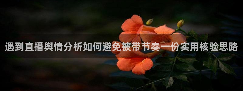 网红黑料后续进展
