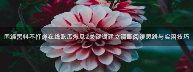 明星黑料证据梳理