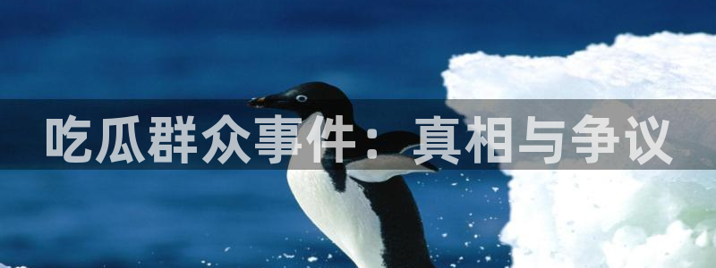 职场黑料证据梳理