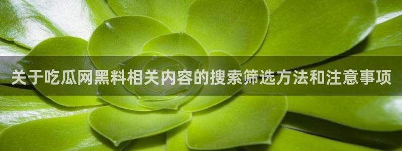 娱乐黑料后续进展